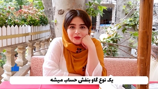 باغ رستوران بودن یک گاو بنفش