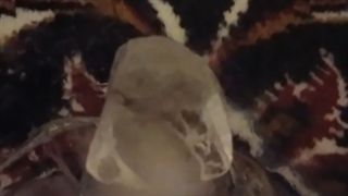 ضدیخ - شهروز مرکباتی لنگرودی