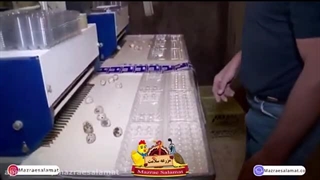 پرورش صنعتی بلدرچین تخمگذار