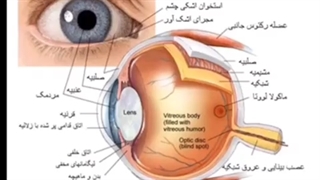 روبرویت می ایستد