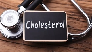 خواص و استفاده های پروتئین سفیده تخم مرغ و پودر سفیده تخم مرغ