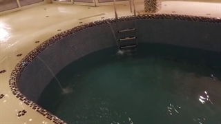 قیمت ساخت استخر  ارزان طبیعت سازان