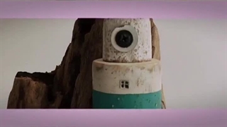 گلدان فانوس دریایی