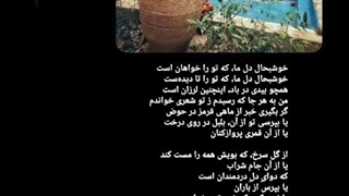 من به هرجا که رسیدم ز تو شعری خواندم