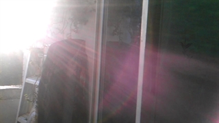 فیلمبردار-حسام الدین شفیعیان