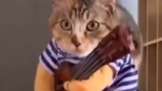 کاوایییی♡♡♡