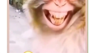 ☻︎☹︎♡︎❣︎❥︎