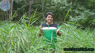 چرا برای رسیدن به قله موفقیت باید از دره شکست عبور کرد؟