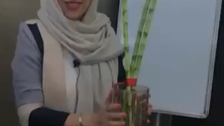 راز بستن روبان قرمز به گیاه بامبو در فنگ شویی