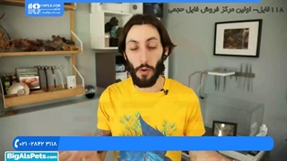 آموزش ساخت آکواریوم و نحوه انتخاب مواد کف آکواریوم