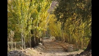 پاییز