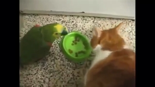 خنده دار ترین میم های یوتیوب قسمت 21