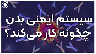 سیستم ایمنی بدن چگونه کار میکند؟