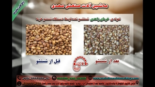 دستگاه شستو شو خرما زاهدی