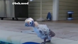 سلاممممم به همگیییی خوب سلامتیت؟؟