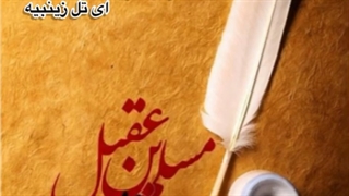 کلیپ برای مسلم بن عقیل