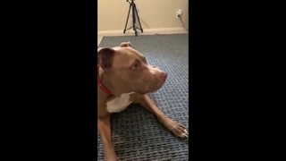 خنده دار ترین میم های یوتیوب قسمت 34