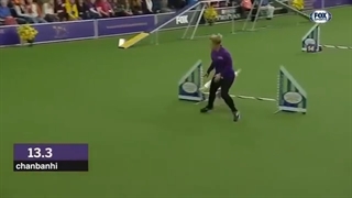 خنده دار ترین میم های یوتیوب قسمت 36