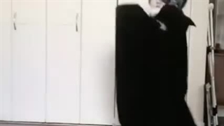 black butler cosplay