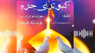 دانلود آهنگ جدید نوید نیک فرجام به نام کبوترای حرم
