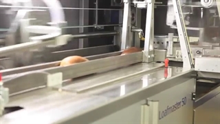 بسته بندی نان در کارخانجات