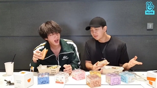 ویلایو نامجون و جین ( زیرنویس فارسی) BTS RM & Jin vlive