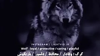 شَبیهِع کُدوُم؟!:)