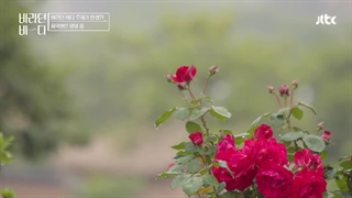 برنامه Sea of Hope 2021قسمت 9 اضافه شد.لینک زیرنویس توی توضیحات