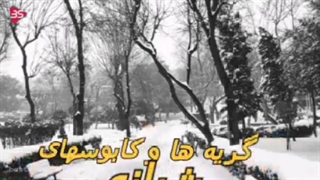 دکلمه دلم گرفته مجید اصلاح پذیر