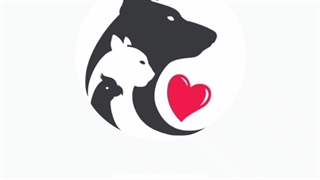 معرفی کانال پت لاین