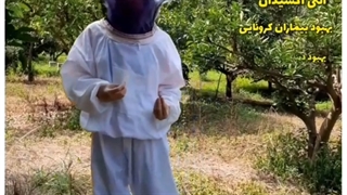 با عسل آویشن آشنا شو