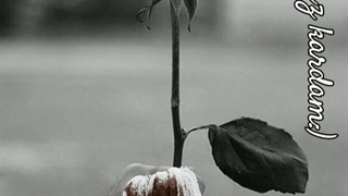 :)Man toro ye fershte farz krdm