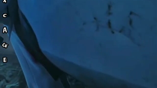 سریال پنت هاوس