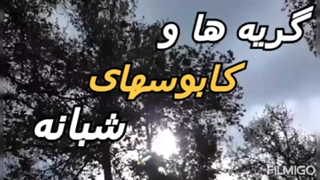 دکلمه غمگین دلتنگی /تکست جدید