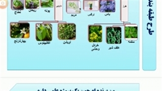 شگفتی های سبز رنگ خدا