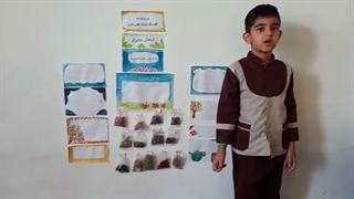 گیاهان جادوگر