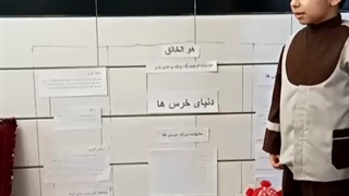 دنیای خرس ها