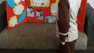 مخملی های ظریف