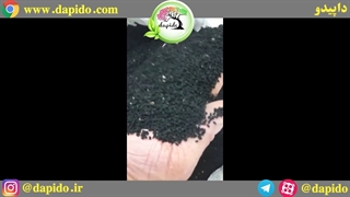 مرکز فروش سیاه دانه ایرانی تازه