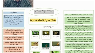 رنگینک های زیبا