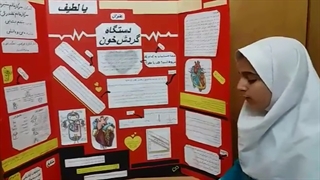 دستگاه گردش خون