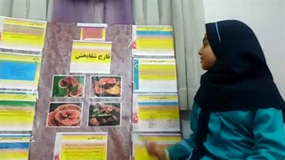 قارچ شفابخش