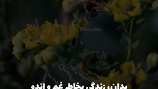 به غم پشت کن! کپشن