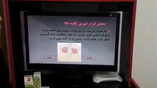 لوبیای تصفیه کننده