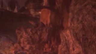 انیمه (Perfect World (Wanmei Shijie قسمت 21 با زیر نویس فارسی