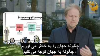 مقدمه ای بر روانشناسی
