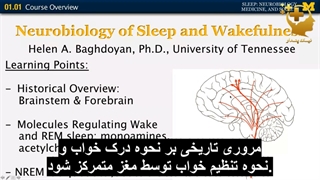 خواب، نوروبیولوژی، پزشکی و جامعه