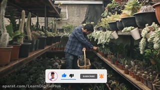 پک سابسکرایب پریمیر و افترافکت