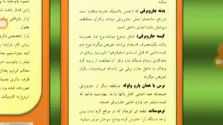 شکموی خرطوم دار