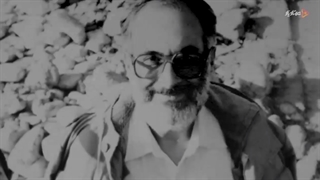 استاد مرتضی